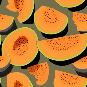 Cantaloupe illustration wall texture, trending on artstation, base color, albedo, detailed, 4k