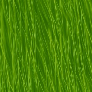 Grass texture, trending on artstation, base color, albedo, detailed, 4k