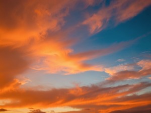 Orange and blue skies, photo