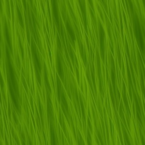 Grass texture, trending on artstation, base color, albedo, detailed, 4k
