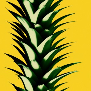 Pineapple texture, trending on artstation, base color, albedo, detailed, 4k