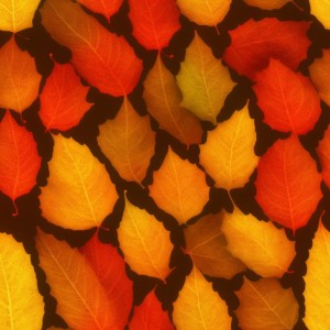 Autumn leaves texture, trending on artstation, base color, albedo, detailed, 4k
