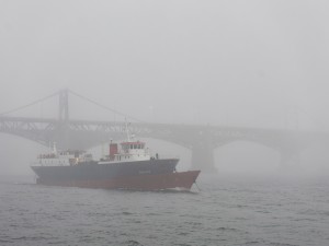 Two boats below bridge with fogs, photo