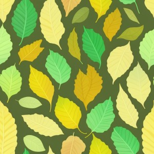 Leaves flat illustration, trending on artstation, base color, albedo, detailed, 4k
