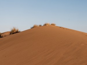 Brown sand dune, photo