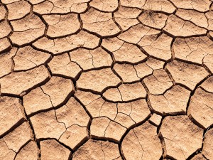 Cracked dry earth desert ground texture, photo