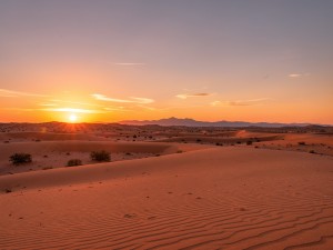 Photo of desert during sunset, photo