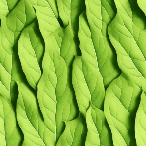Leaves illustration flat texture, trending on artstation, base color, albedo, detailed, 4k