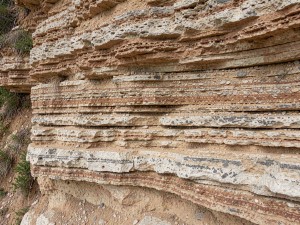 Vertical cross-section of sedimentary rock showing distinct strata layers, photo