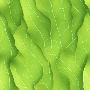 Leaves illustration flat texture, trending on artstation, base color, albedo, detailed, 4k