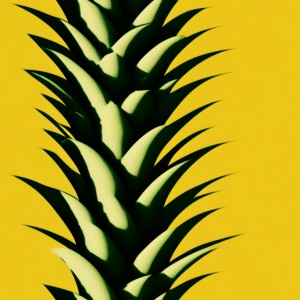 Pineapple texture, trending on artstation, base color, albedo, detailed, 4k