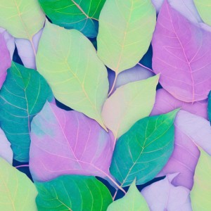 Pastel leaves, trending on artstation, base color, albedo, detailed, 4k