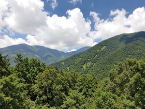 Green mountains and trees under white cloudy sky during daytime, photo